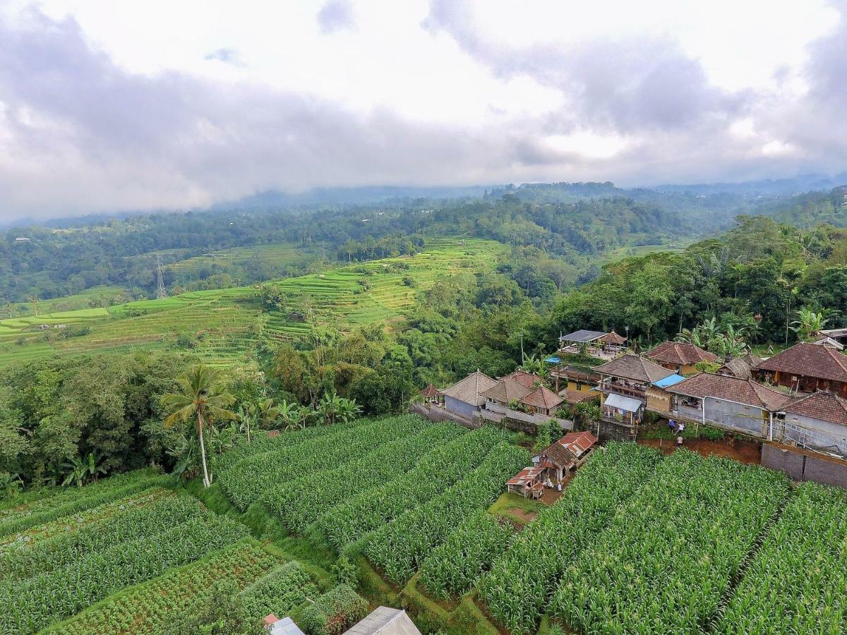 Pondok Nyoman Bedugul By Agata Extérieur photo