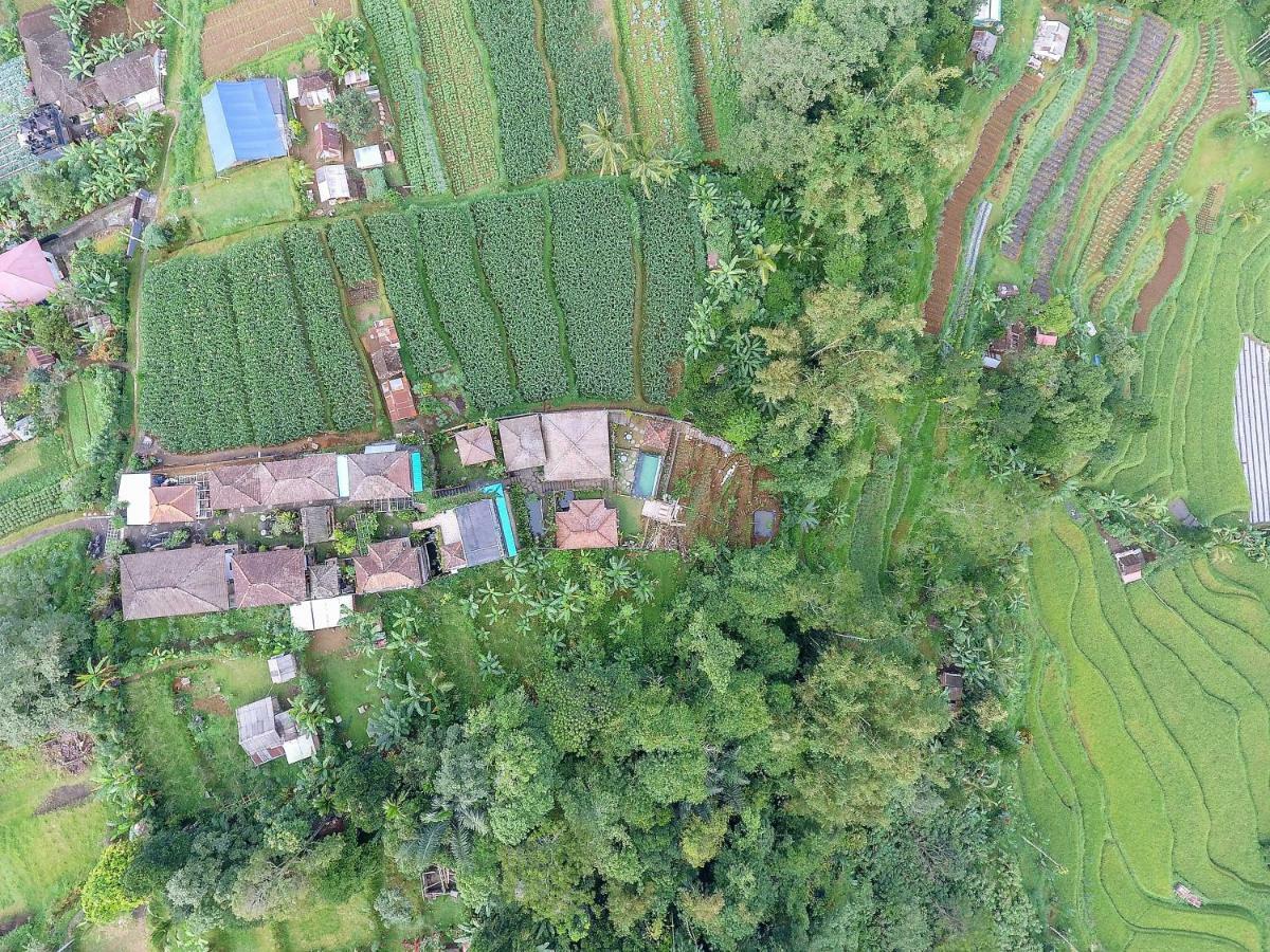 Pondok Nyoman Bedugul By Agata Extérieur photo